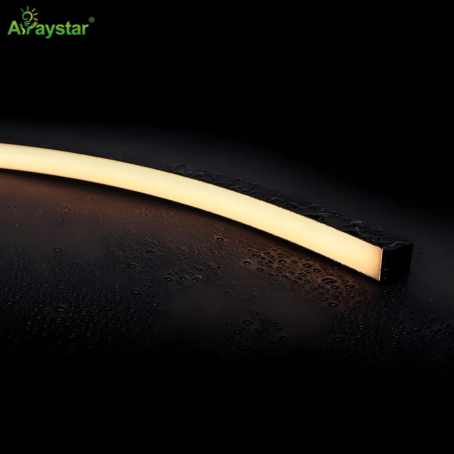 Black Housing LED Neon Strip