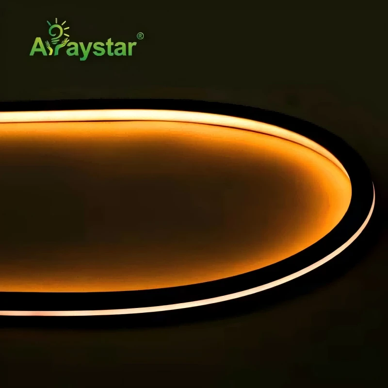 Black Housing Top Bend LED Neon Strip ART-NS1010-B