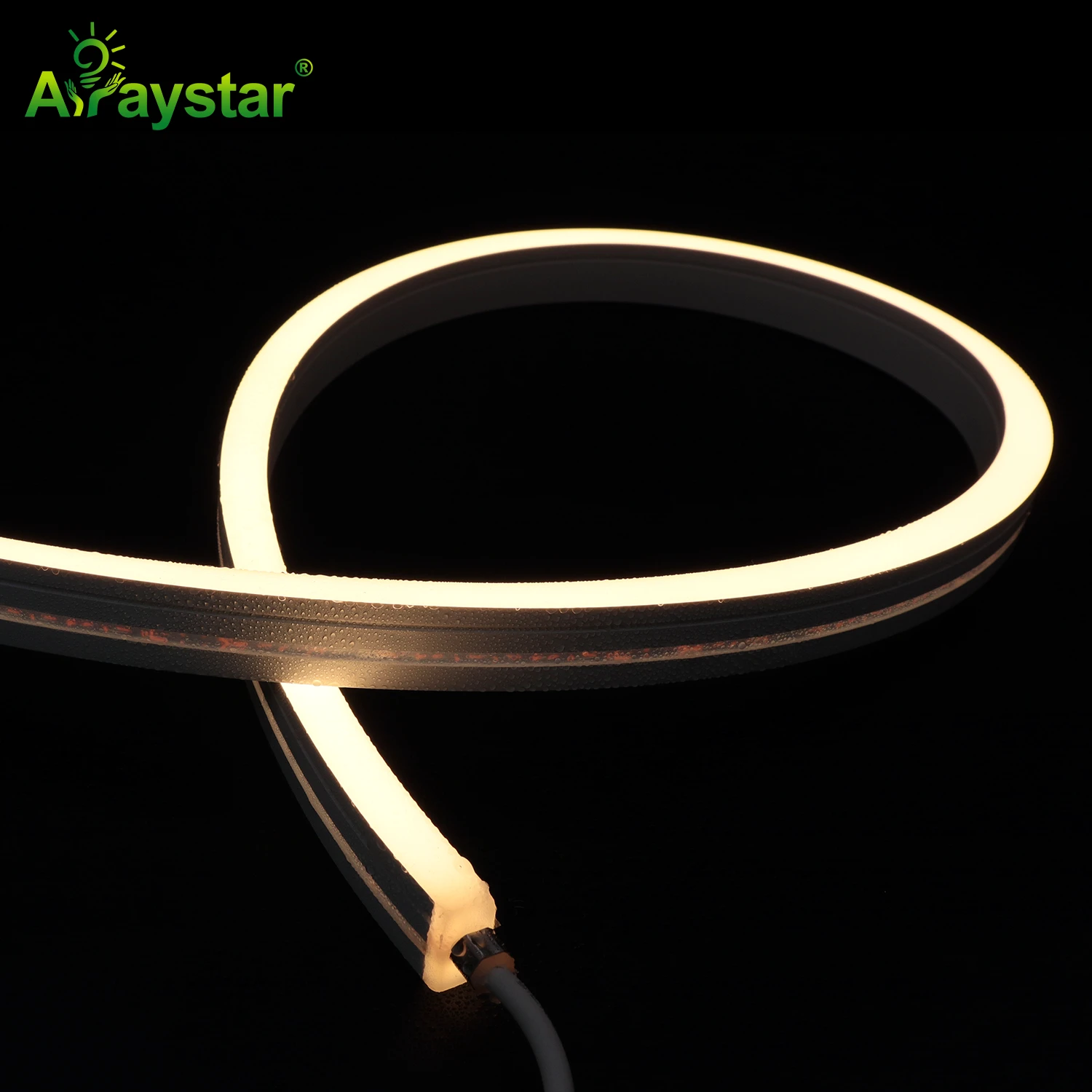 110V AC Horizontal Bending Neon Flex Strip ART-NS1220