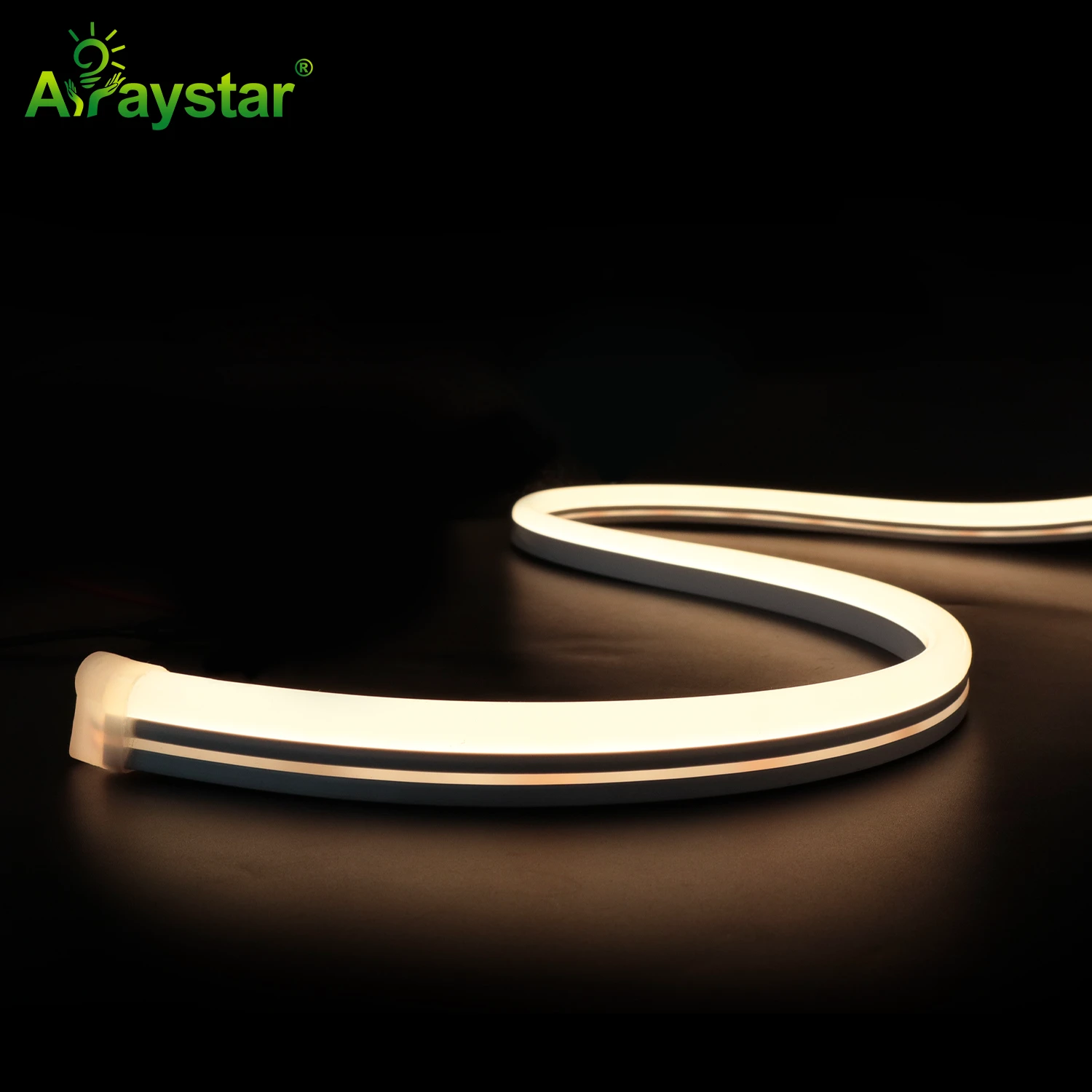 Long Run LED Neon Strip ART-NS1225