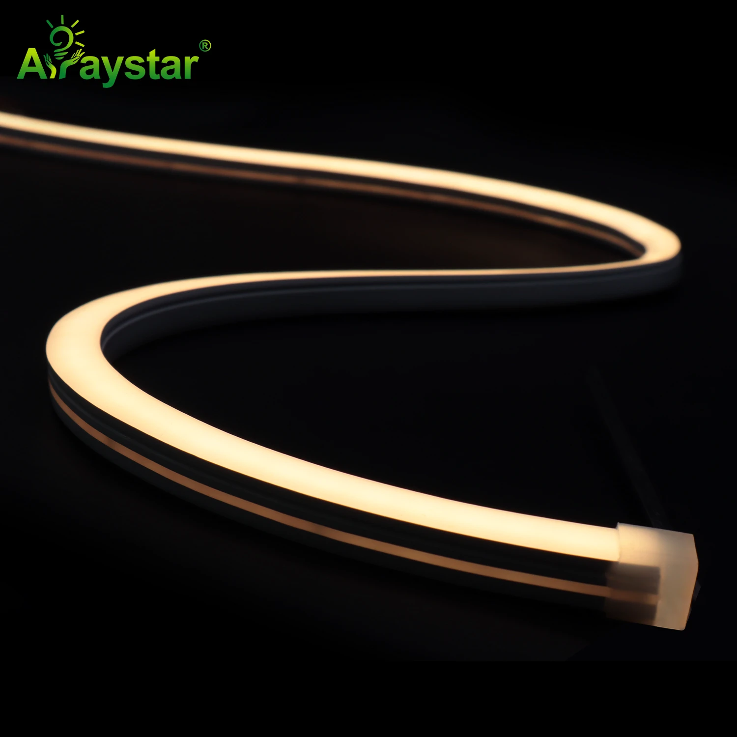 Long Run LED Neon Strip ART-NS1212