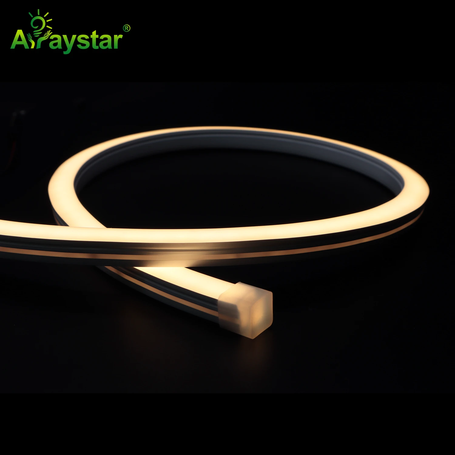 Vertical Bending Neon Flex ART-NS1212