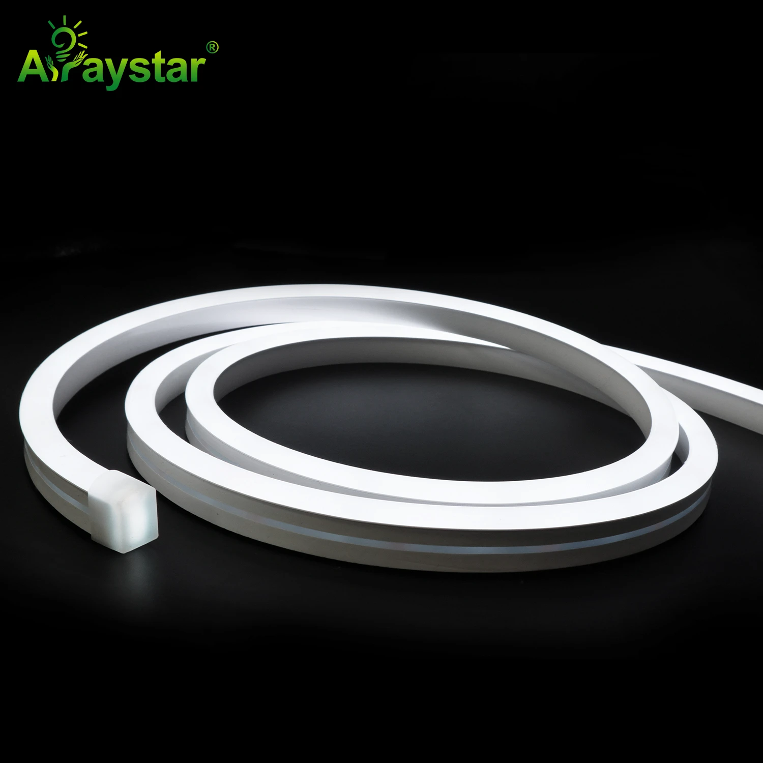 48V LED Neon Strip ART-NS0816-48