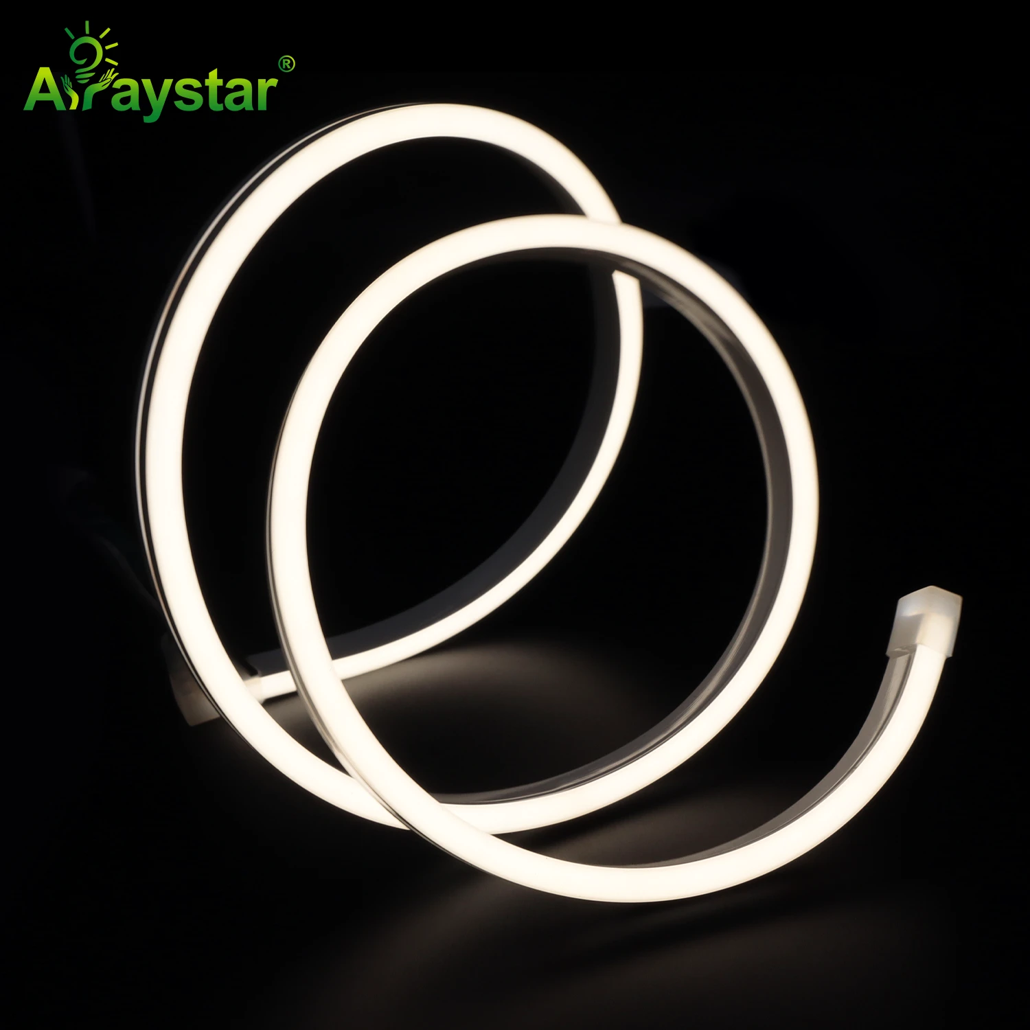 IP68 Full Silicon Extrusion LED Neon Strip ART-NS0612-IP68