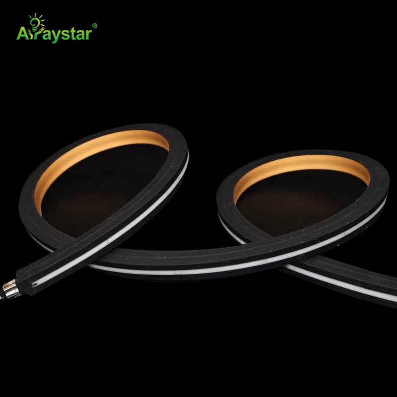 Top Bend 12*12mm Black Housing LED Neon Strip
