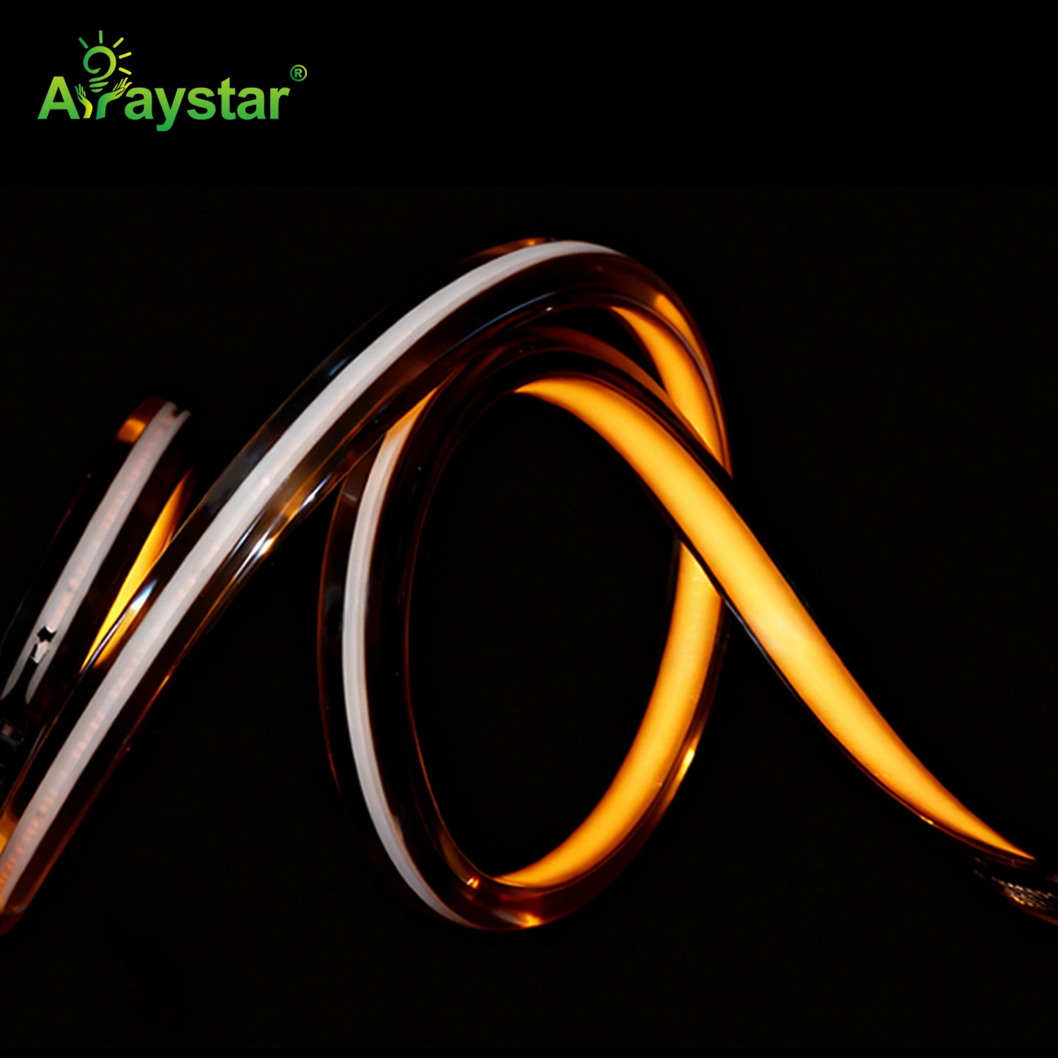 Black LED Neon Strip