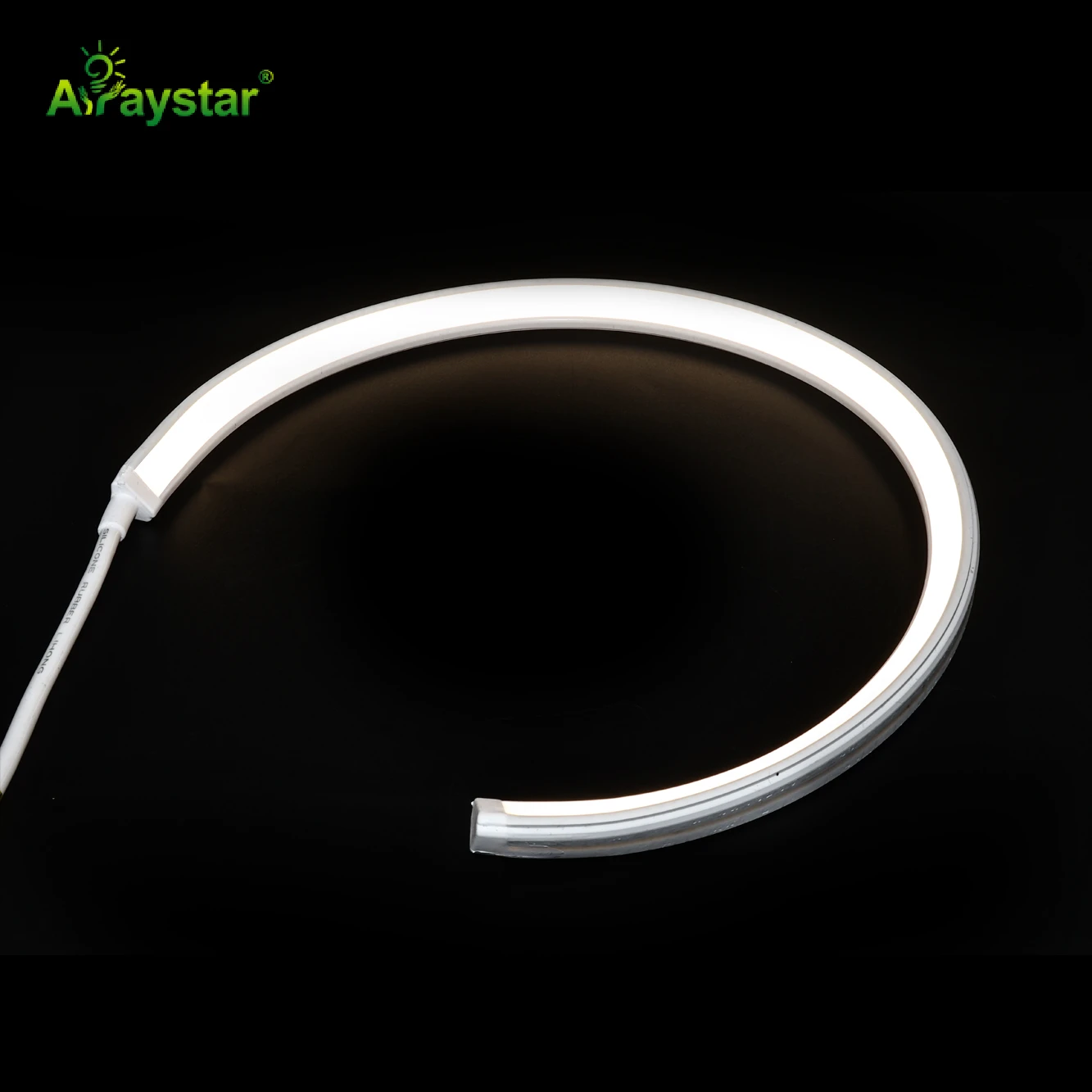 1213 LED Neon Flex 160° Beam Angle