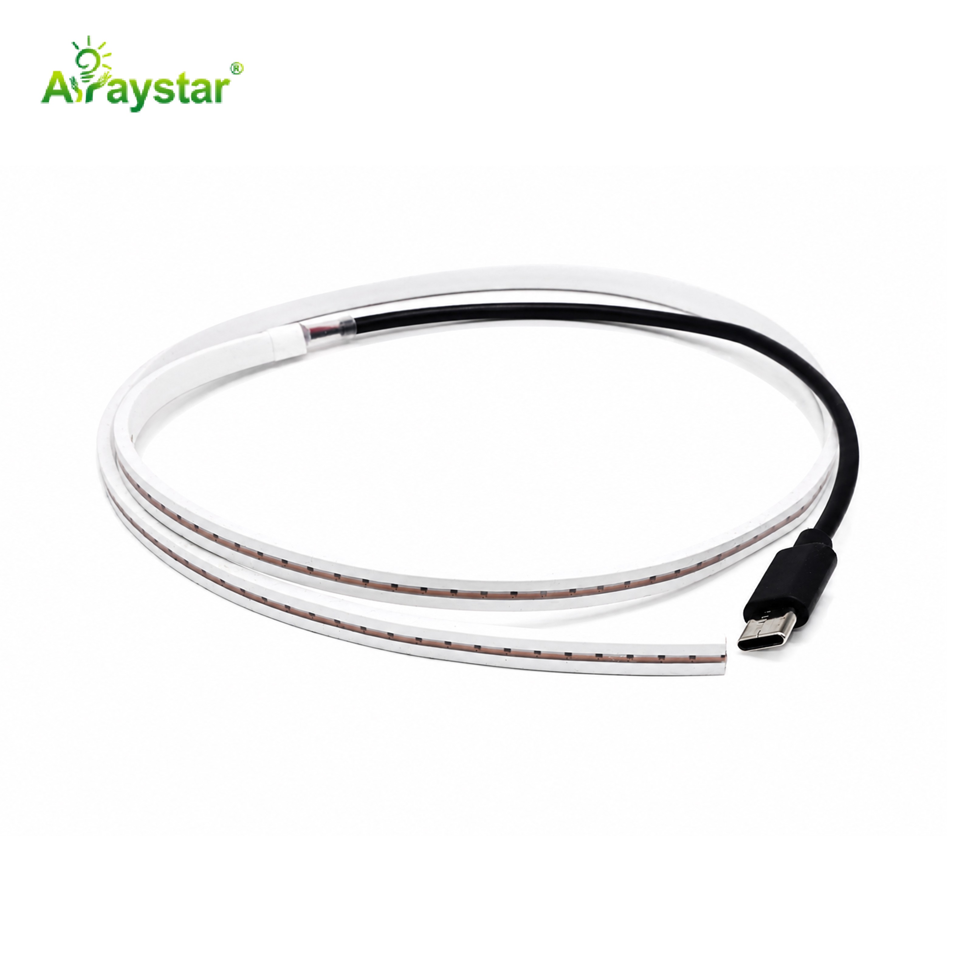 Type-C Slim 2×6mm LED Neon Strip