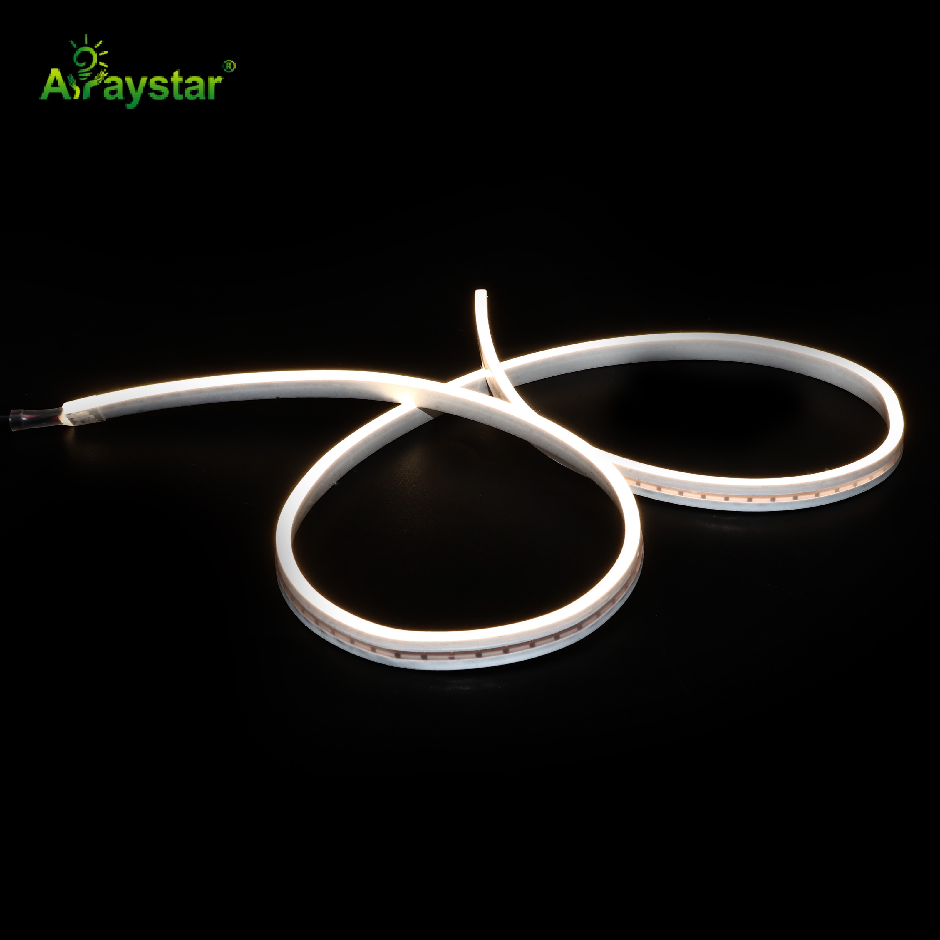 Type-C Slim 2×6mm LED Neon Strip