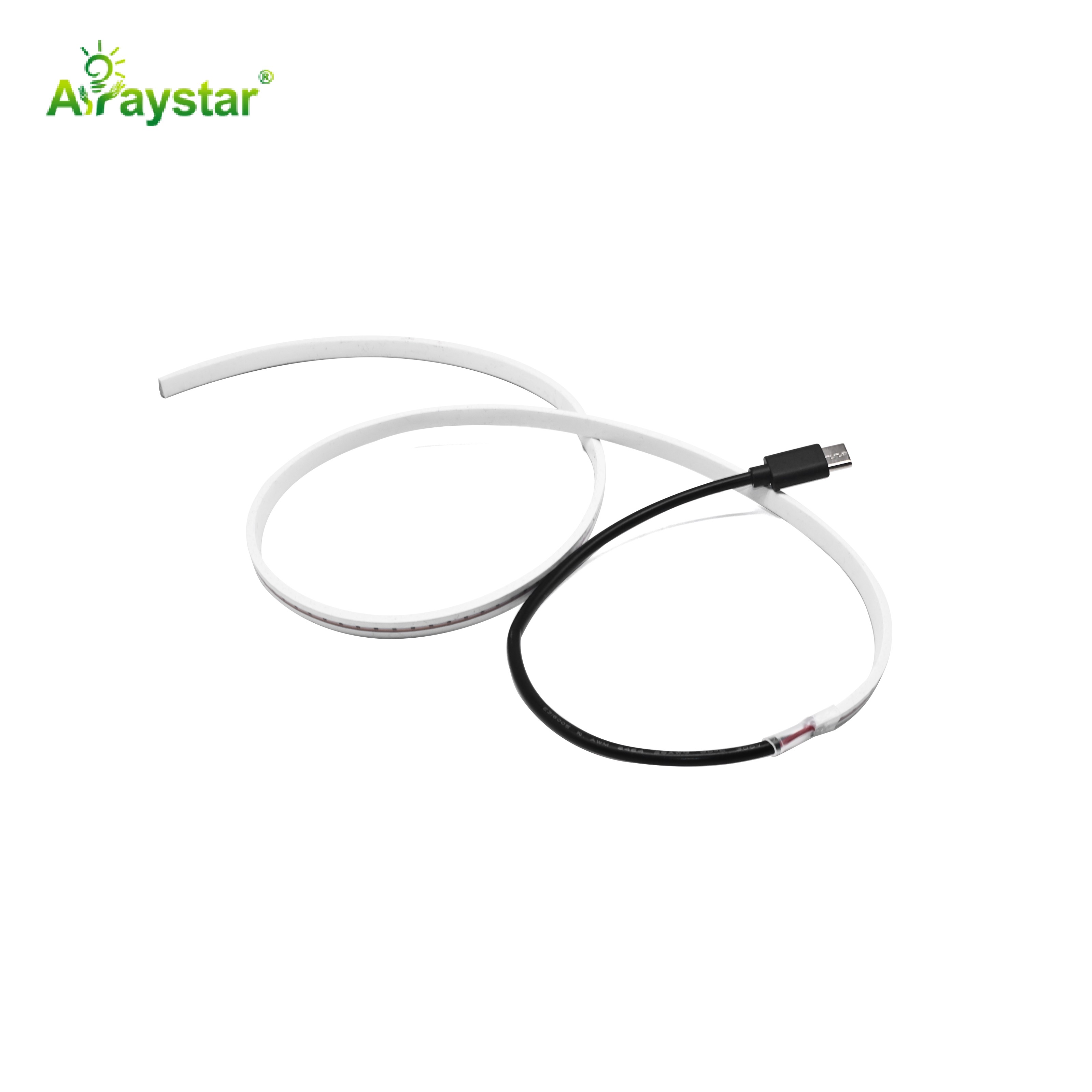 Type-C Slim 2×6mm LED Neon Strip
