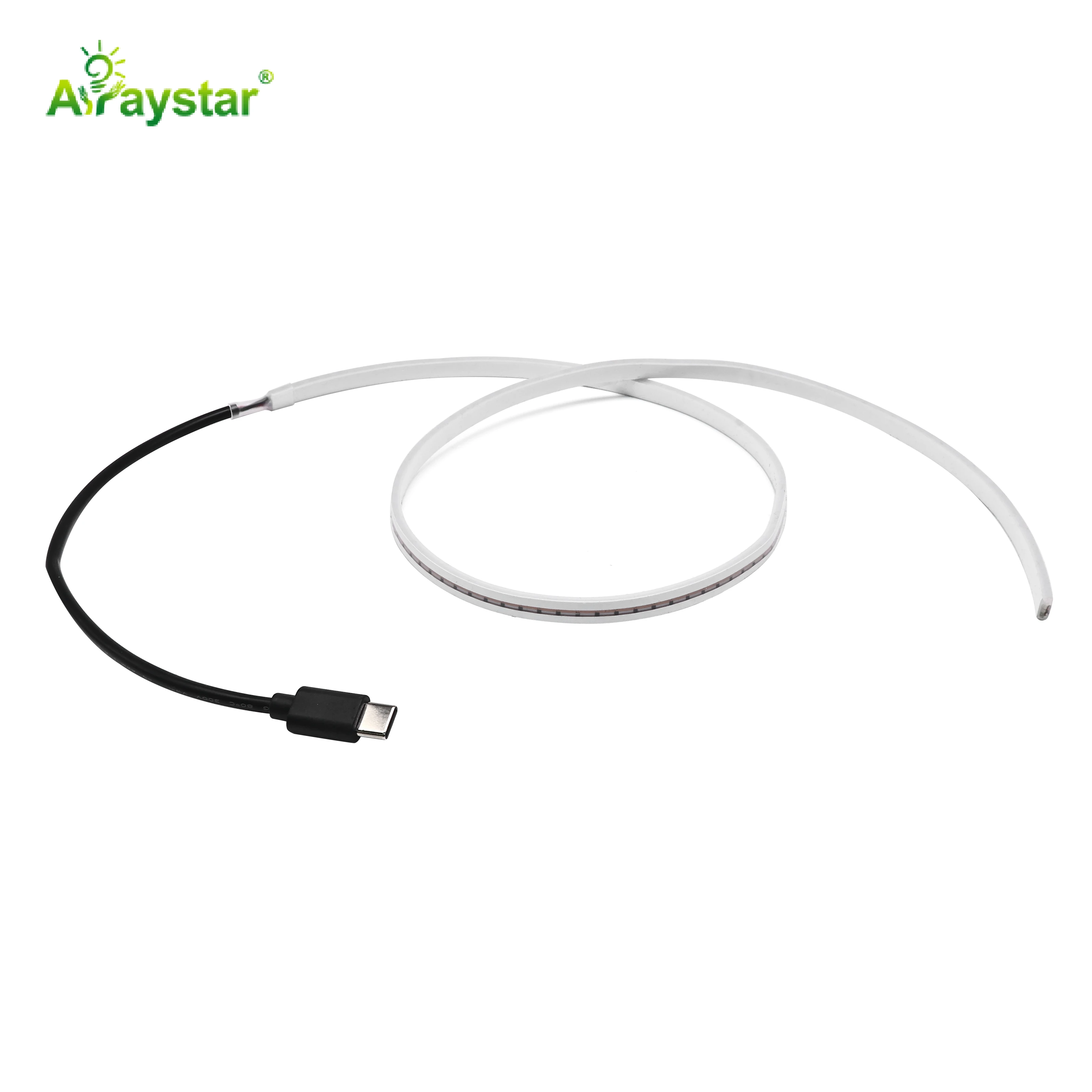 Type-C Slim 2×6mm LED Neon Strip