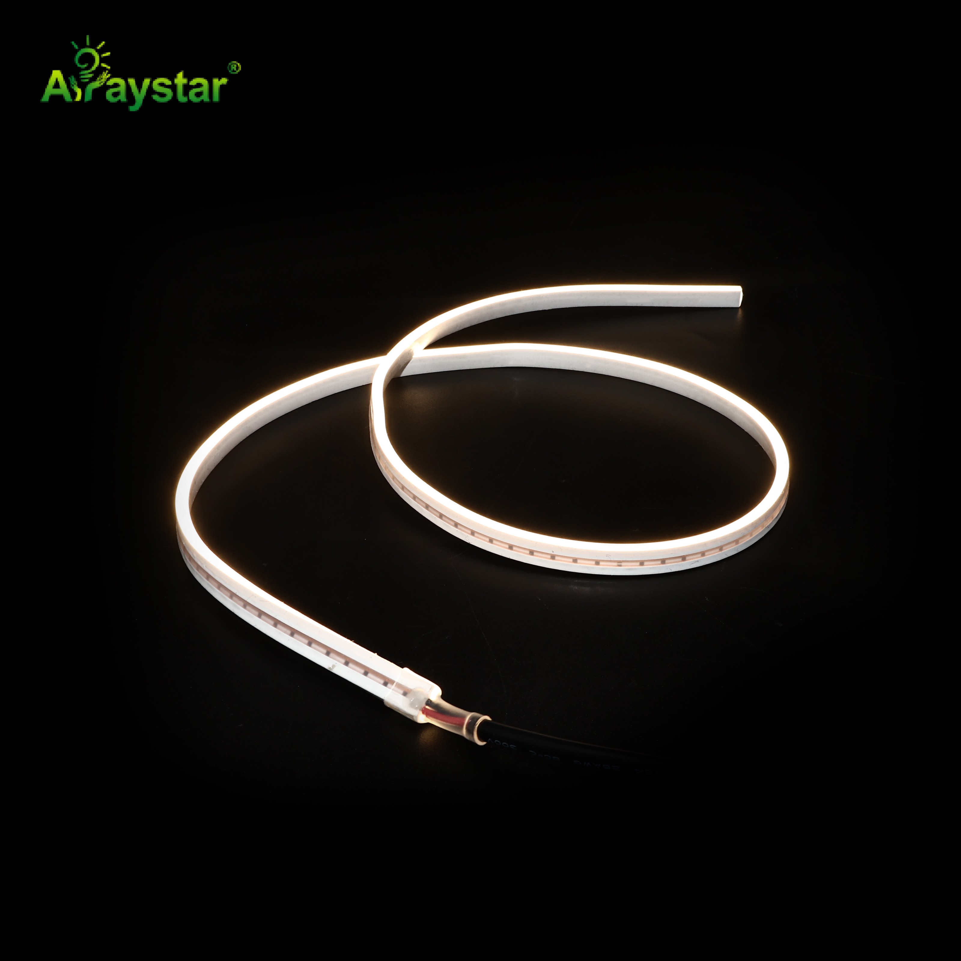 Type-C Slim 2×6mm LED Neon Strip