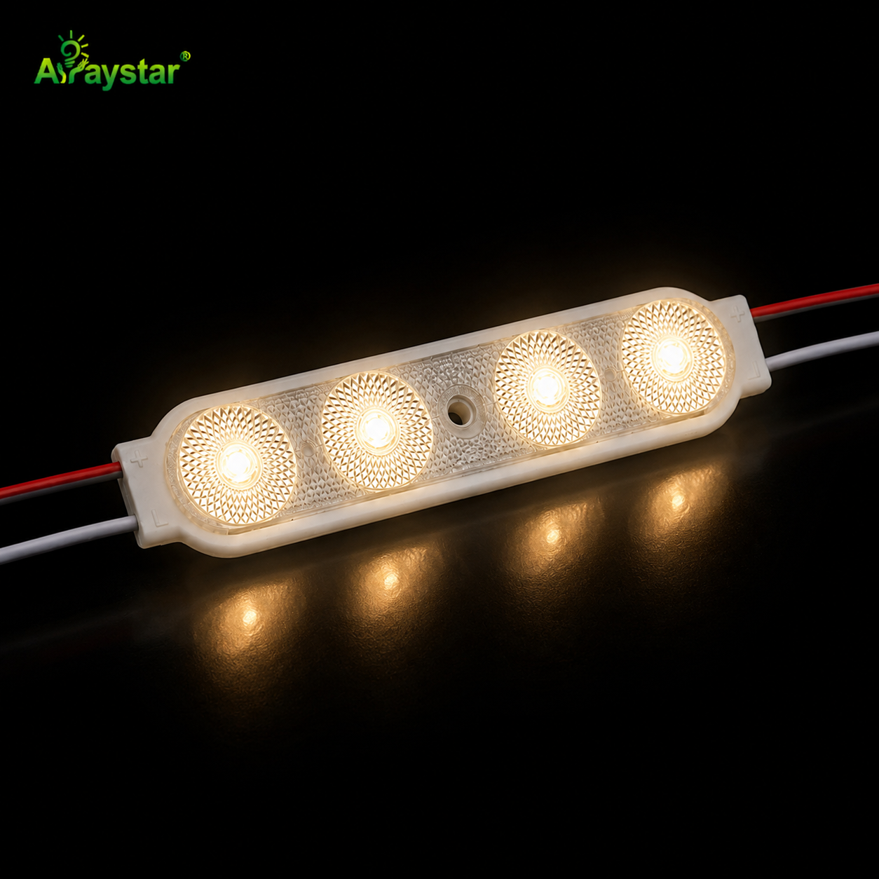  LED Module