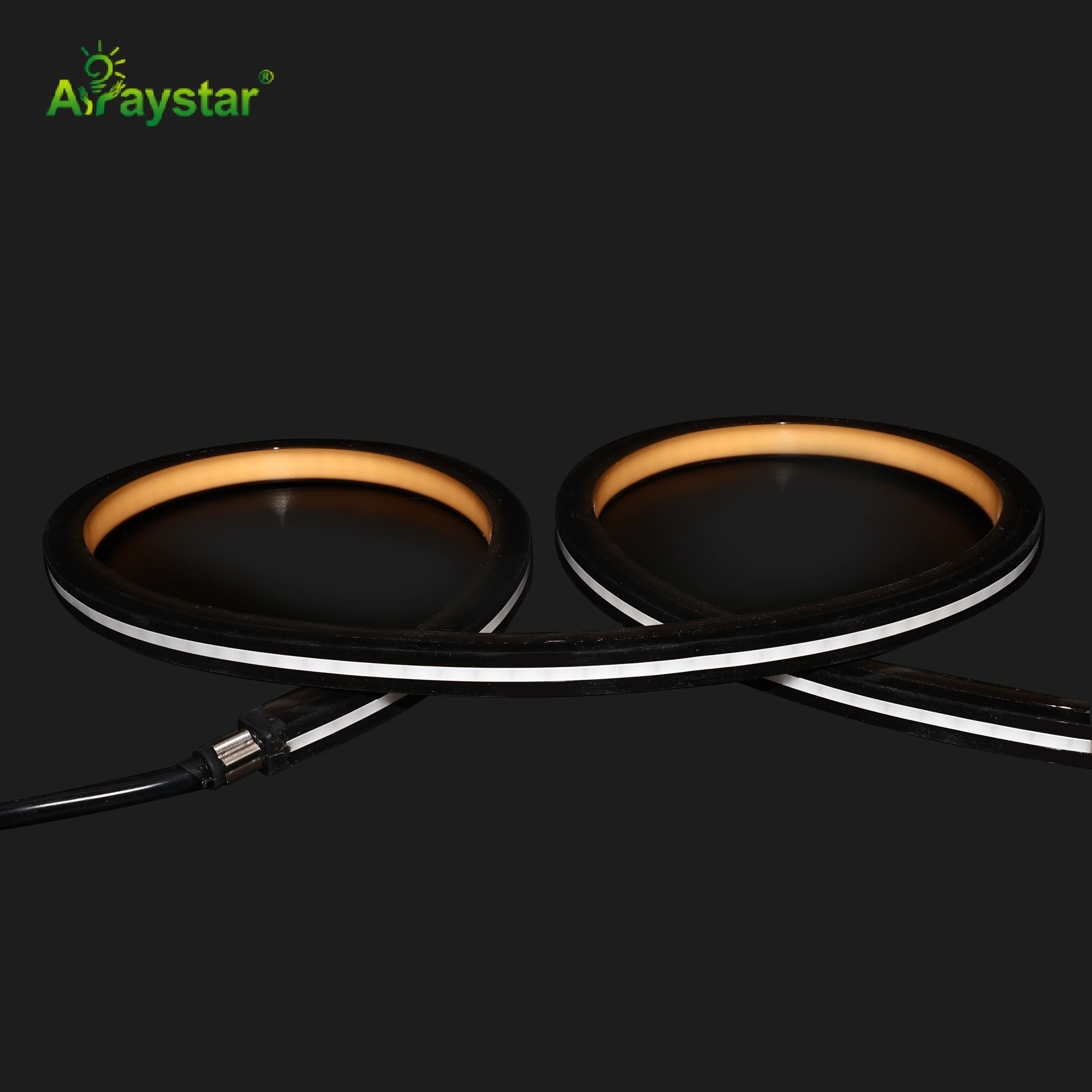 Top Bend 1010mm Free cut Neon Strip   