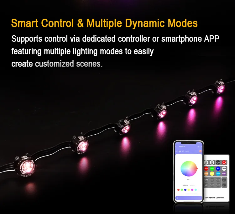 Full Color LED Pixel String Light ART-TM-202D3535RGB-FW1935B